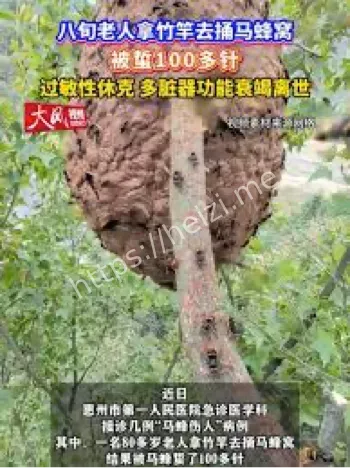 8旬老人