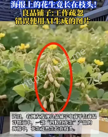 常识错误