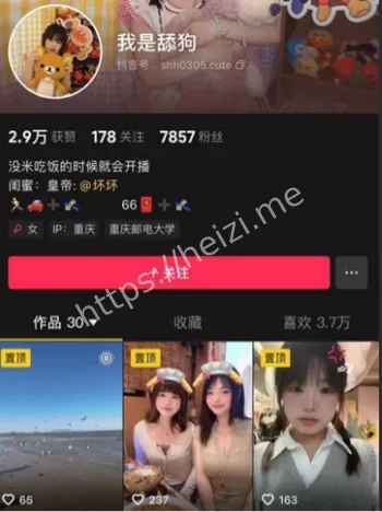 我是舔狗