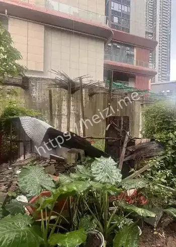 深圳小区