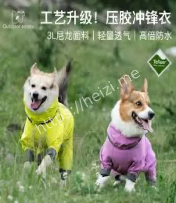 宠物防晒服