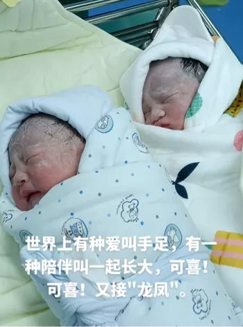 网络暴力