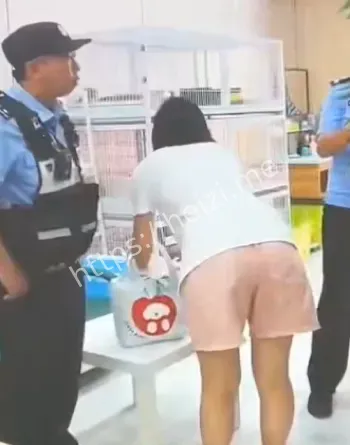 沈铁文旅