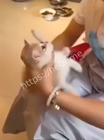 心理障碍