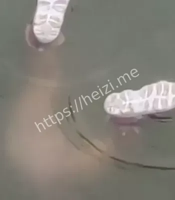 狮城妈妈