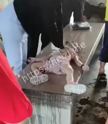 6岁女儿