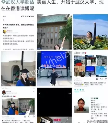论文漏洞