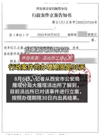游客被殴打