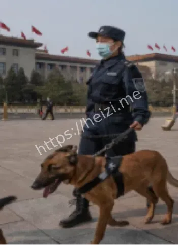 黑子网热议