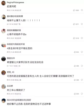 宝盈猫咖