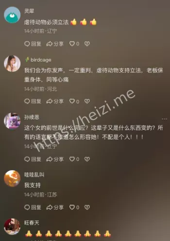 宝盈猫咖
