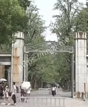 坠落身亡