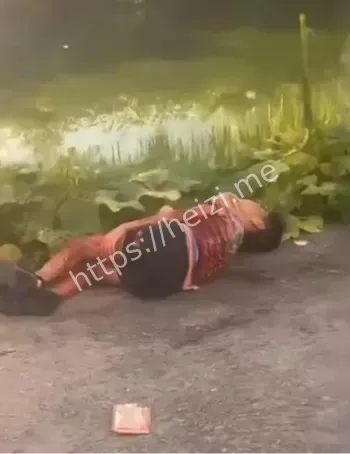 耒阳
