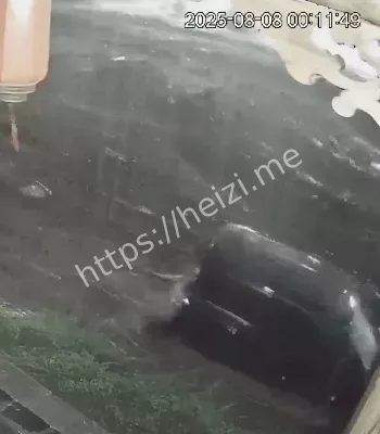 惊悚一幕