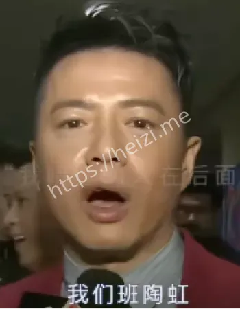 陶虹