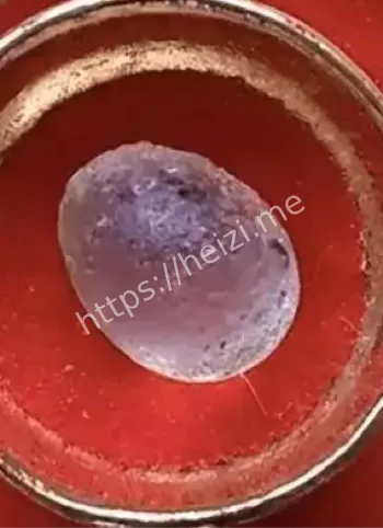 高僧火化
