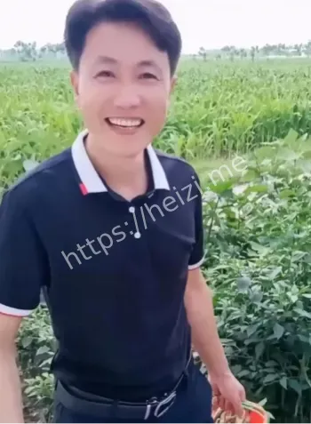 税务争议