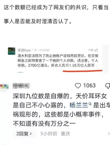 巨额保释金