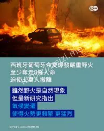 西班牙野火