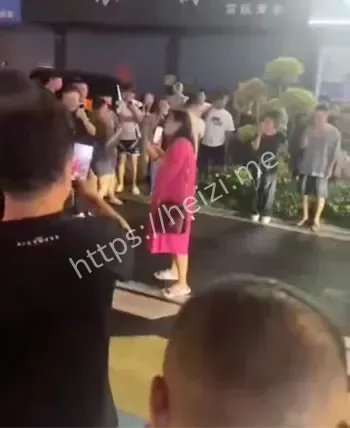 沈老师直播