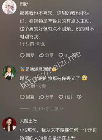 那英沉默