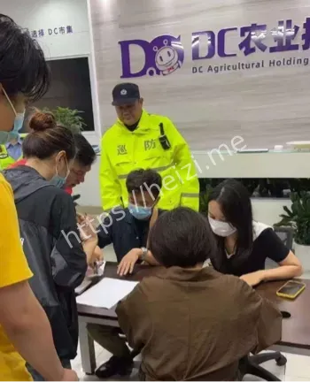 黄金高失联