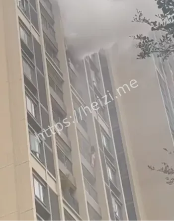 女业主爬楼