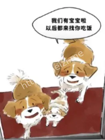 流浪狗乞食