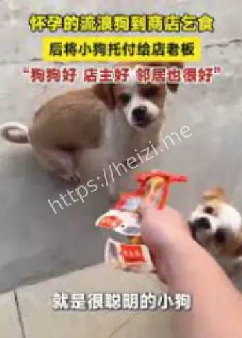 温馨故事热议