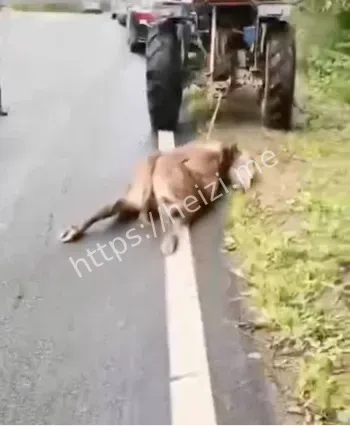 大货车失控