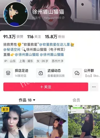 徐州盾山猫猫