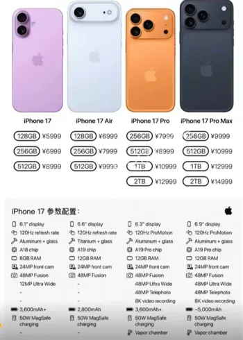 火爆全网