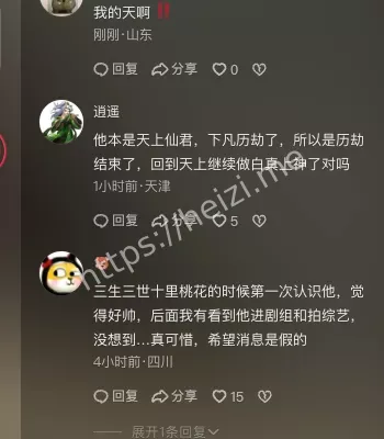 粉丝悼念