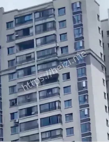 37楼徒手爬下