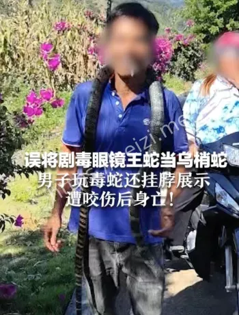眼镜王蛇