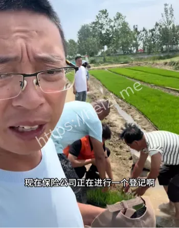 环保博主