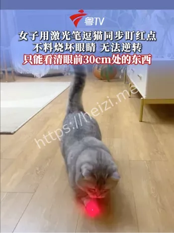 激光笔伤眼