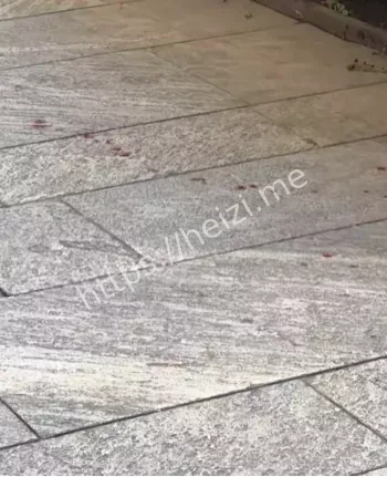 米兰华人街