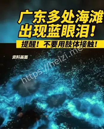 广东茂名海湾