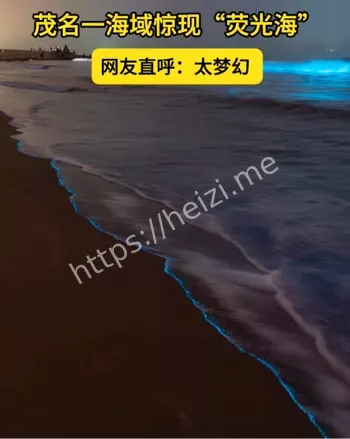广东茂名海湾
