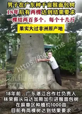 11.8元订单侮辱