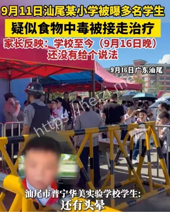 陆丰华美学校