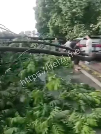 东莞雷雨大风