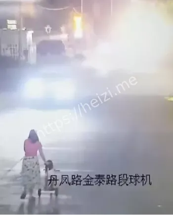 丹凤路