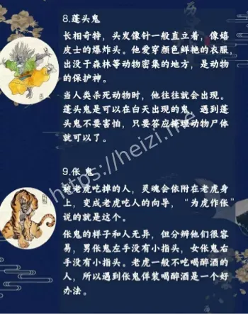 真相揭秘