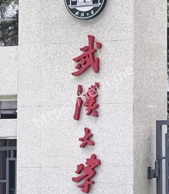 杨景媛