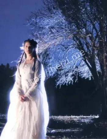 小龙女