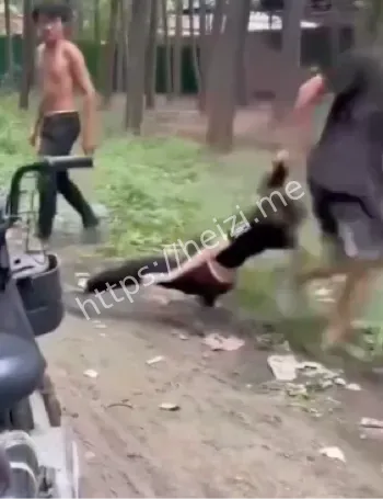 12岁男孩惨遭两个少年霸凌殴打