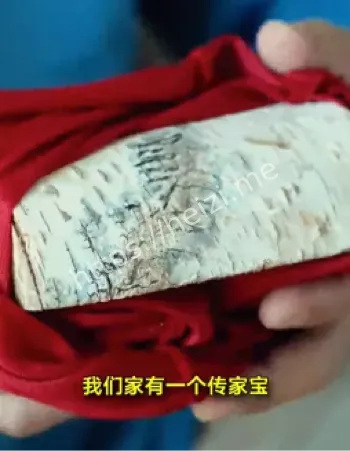 杨靖宇后人