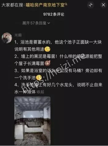 最新进展